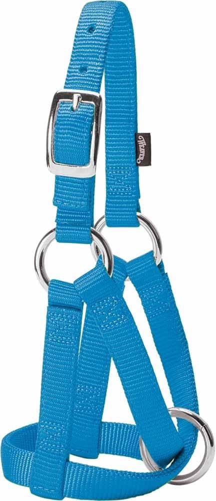 Weaver Leather Livestock Goat Halter, Hurricane Blue, Small/3/4-Inch