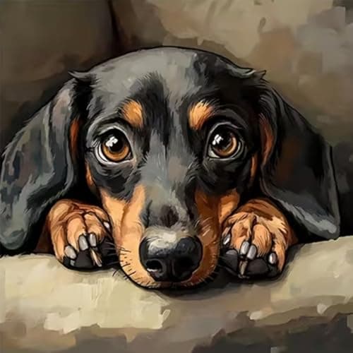 JXDXDJ Dog Diamond Art Kits for AdultsDachshund Full Round Drill 5D Diamond Painting Kits for BeginnersDIY Diamond Dots Paintings PictureGem Art for Adults CraftsHome Wall Decor 1378x1378 Inch