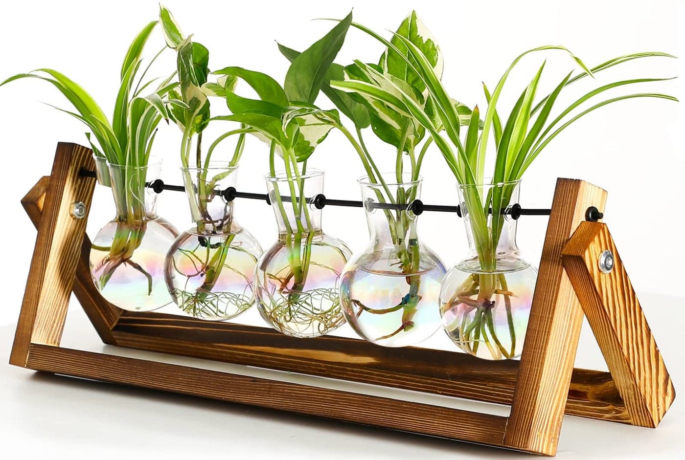 XXXFLOWER Plant Terrarium with Wooden Stand Wall Hanging Glass Planter Tabletop Propagation Station Metal Swivel Holder Retro Rack for Hydroponics Home Garden Office Decoration 5 Bulb Vase