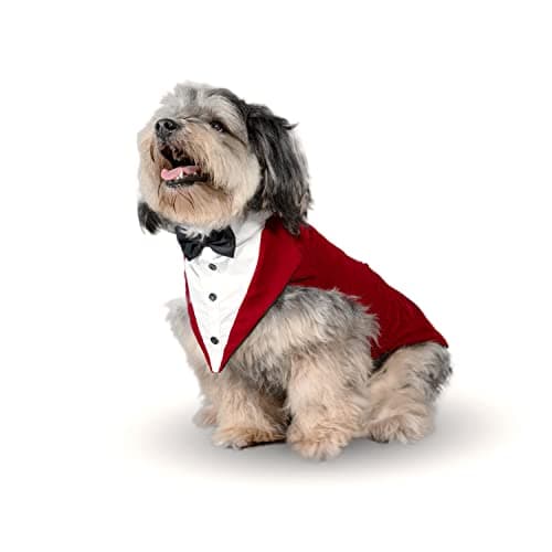 Puptail Velvet Suit, Tuxedo and Bandana Set, Wedding Party Suit, Clothes Bow Tie, Dresses for Small, Medium and Large Female Dogs, Golden Retriever, Labrador, Shitzu, Pug (XL, Red), 1 Count