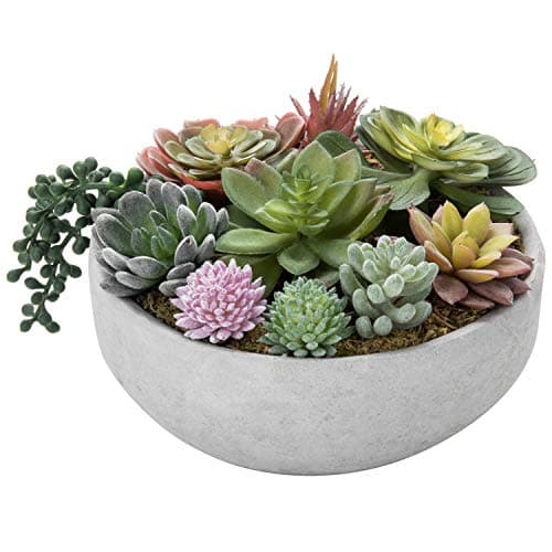 MyGift 8 Inch Round Modern Artificial Succulent Arrangement Potted in Gray Concrete Plant Bowl Assorted Faux Mini Succulents in a Decorative Planter Pot