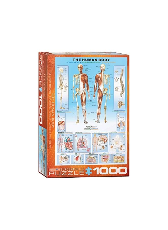 EuroGraphics Human Body Puzzle (1000-Piece)