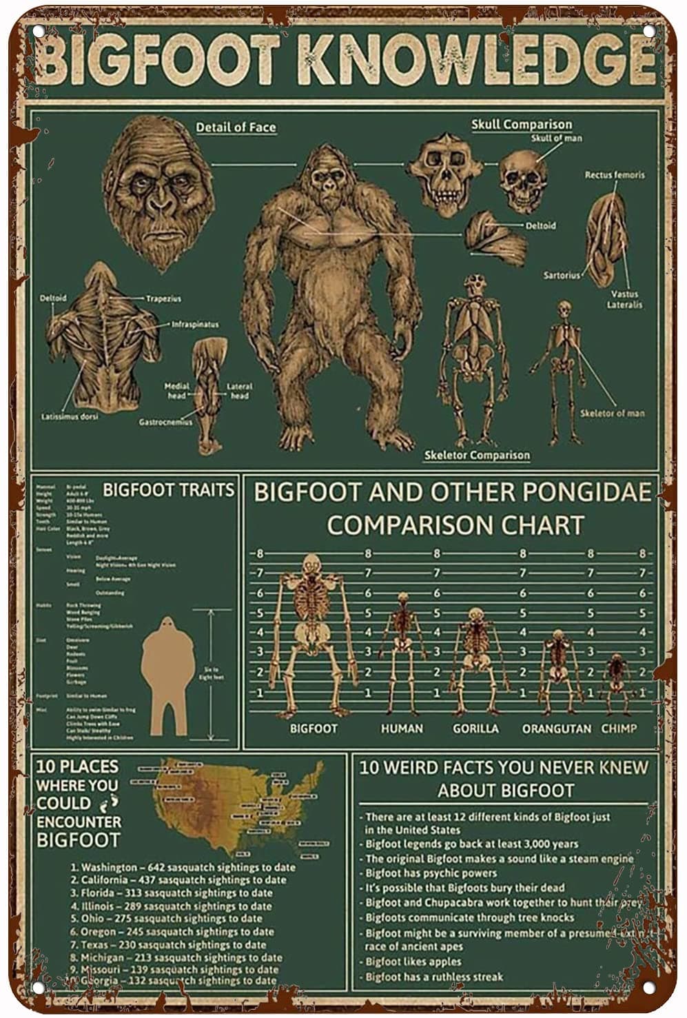 Xiddxu Vintage Tin Sign Metal Plaque Bigfoot Knowledge Bigfoot Bigfoot Lover Gift Sasquatch Sign Bigfoot Sasquatch Art Metal Sign Retro Wall Decor for Home Hotel Cafes Sign Gift 8x12 Inch