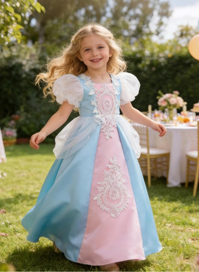 Blue Puff Sleeve Embroidered Dress