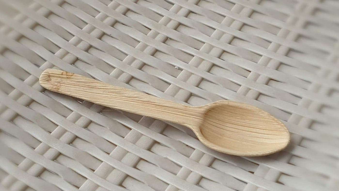 Vissage 100 Biodegradable EcoFriendly Disposable Spoons Pack of 50