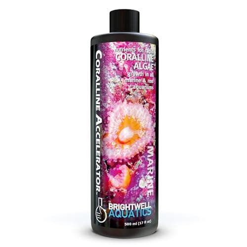 Brightwell Aquatics - Coralline Accelerator - Multi-Nutrient Supplement for Coralline Algae Growth in Marine and Reef Aquariums - Aquarium Water Treatments, 16.9 fl oz