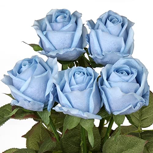 Artificial Realistic Roses Champagne Flowers 24 Real Touch Silk Roses Bouquet Long Stems Rose for Flower Arrangement Fake Roses Decor for Home Party Wedding Table Centerpieces Roses Realistic 5 Pcs