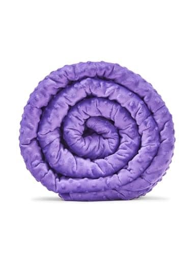 TONGDADA Minky Weighted Blanket | 40''x60'',10lbs | Cozy and Soft Minky Weighted Throw Blanket | Luxury Velvet with Premium Glass Beads | Violet Minky