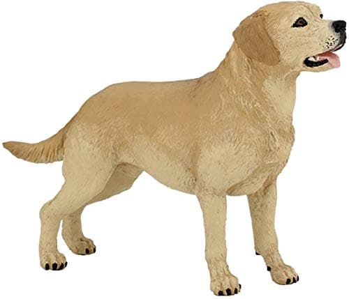 Papo - Labrador - Realistic Figurine - for Ages 3+ - Dogs and Cats Collection - Hand Painted - Highly Detailed - Durable and Educational - Gift Idea - Collectable - Labrador Toy - Dog Figurine