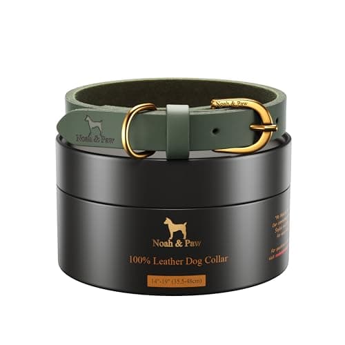 NOAH & PAW Dog Collar for Medium Dogs, Genuine Leather Medium Dog Collar with Oil-Wax Finish, Heavy Duty Metal Buckle, Unisex Colors for Girl and Boy, Neck Size 14"-19" (Dark Green).