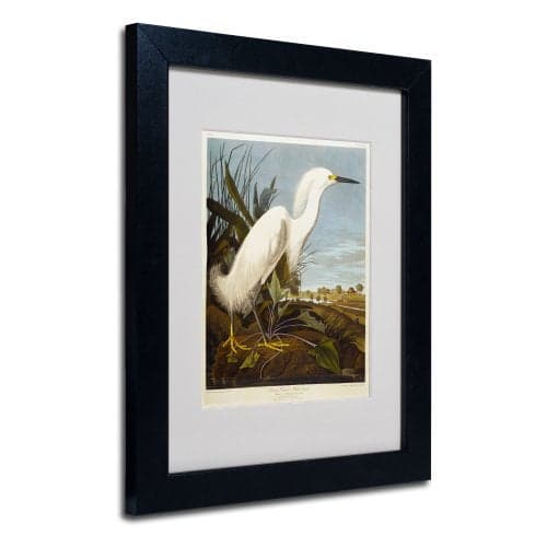 Trademark Fine Art Snowy Heron Matted Artwork by John James Audubon with Black Frame, 11 by 14-Inch