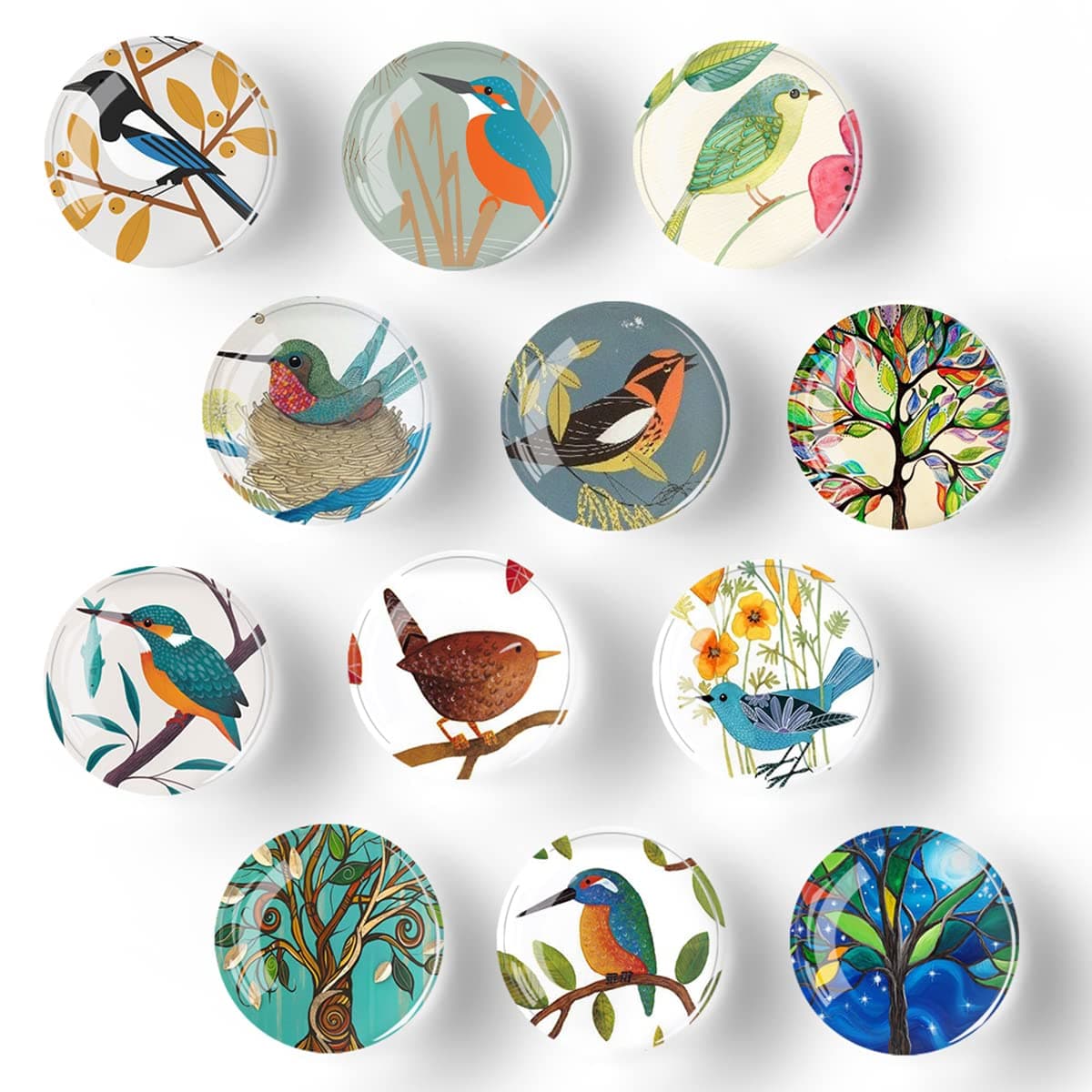 Bamsod 12 PCS Strong Glass Refrigerator Magnets Pattern Series for Whiteboard Office Cabinets Round Fridge Stickers Home Kitchen Decor Bird