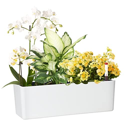 GardenBasix Elongated Self Watering Planter Pots Window Box 55 x 16 inch Indoor Home Garden Modern Decorative Planter Pot for All House Plants Flowers Herbs White1Pack