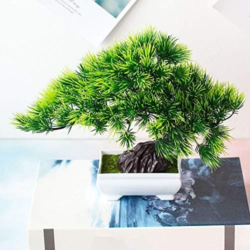 Dekorly Fake Artificial Pot Plant Bonsai Potted Simulation Pine Tree for Home/Office ,(Pack of 1) Green