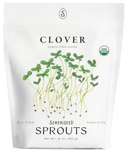 Organic Clover Sprout Seeds (16 oz) – Non-GMO, Heirloom Seeds for Sprouting and Microgreens