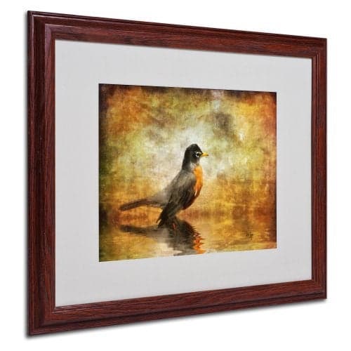 Trademark Fine Art The Robin Matted Framed Art by Lois Bryan with Wood Frame, 16 by 20-Inch