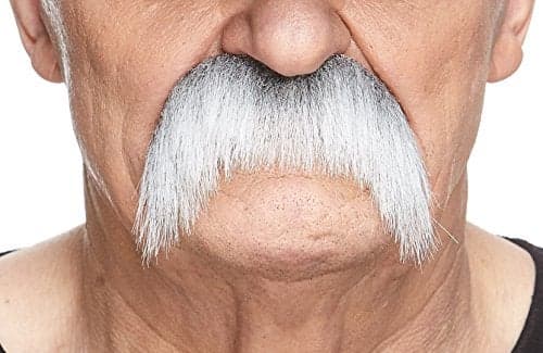 Mustaches Self Adhesive Fake Mustache Novelty Horseshoe False Facial Hair Costume Accessory for Adults Gray with White Color