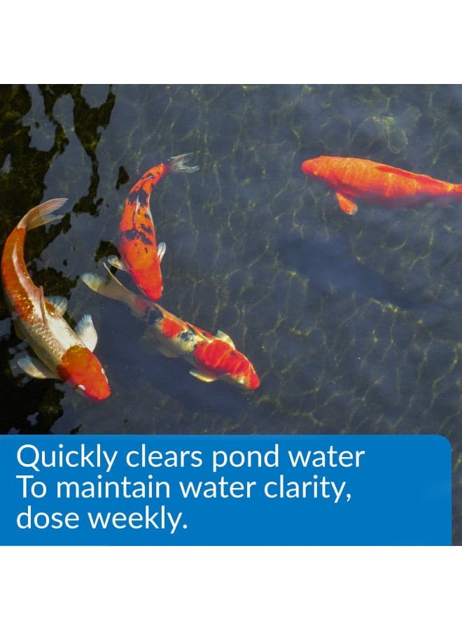 API POND ACCU-CLEAR Pond Water Clarifier 16-Ounce Bottle