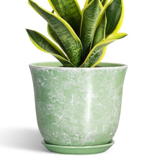 SUNPOTFOR Ceramic Planter - 8 Inch Plant Pot for Indoor Outdoor, Round Flower Pots with Drainage Hole and Saucer, Modern Decorative Planters, Home Office Desk Decor, Gifts for Plant Lovers, Green