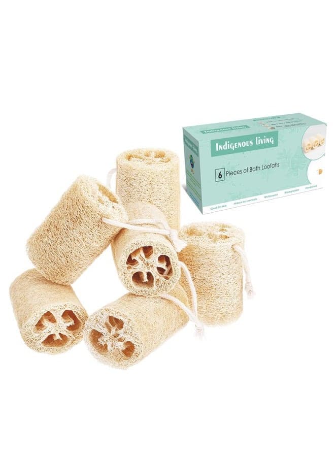 Premium Natural Eco-Friendly Shower Loofah Sponge - Large Exfoliating Body Scrubbers | Bath Sponge for Skin Care in Bath Spa Shower | For Face, Back and Body - 6 Body Scrubbers | Reusable | Great Gift