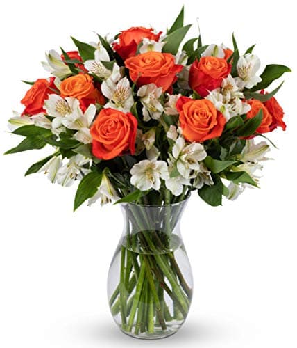 Benchmark Bouquets - Orange Roses & Alstroemeria (Glass Vase Included) - Fresh Flowers for Delivery - Gift for Birthday, Anniversary, Sympathy, Get Well, Congratulations, Easter