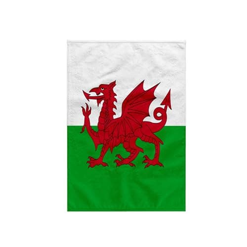 3D Rose Flag of Wales-Welsh Red Dragon On White and Green-Y Ddraig Goch UK United Kingdom Britain Towel, 15" x 22", Multicolor