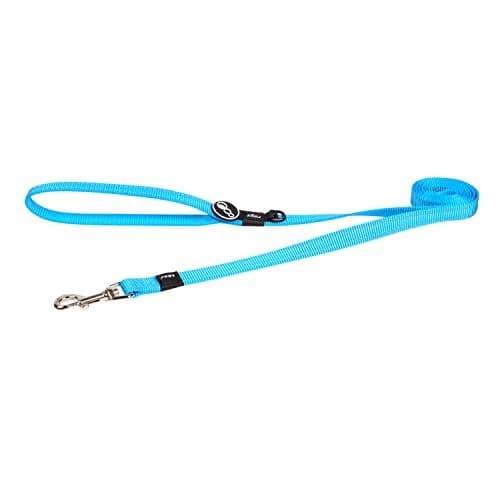 Reflective Dog Leash for Medium Dogs, 5/8" wide, 6' long, Turquoise