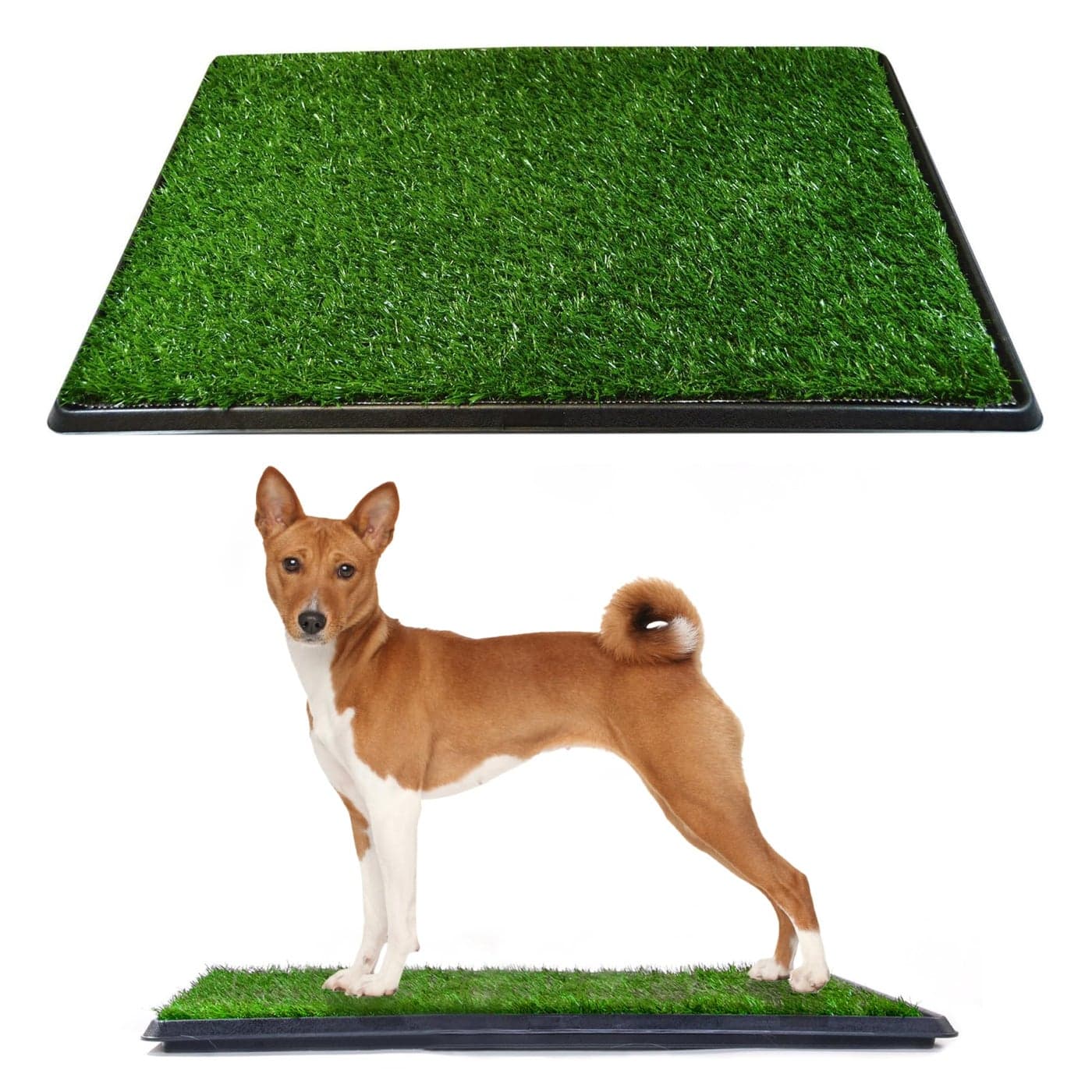 Downtown Pet Supply Dog Grass Pad with Tray 20 x 25 Outdoor and Indoor Potty System for Dogs with Replaceable Synthetic Grass Pee Turf Portable and Waterproof Turf Dog Potty