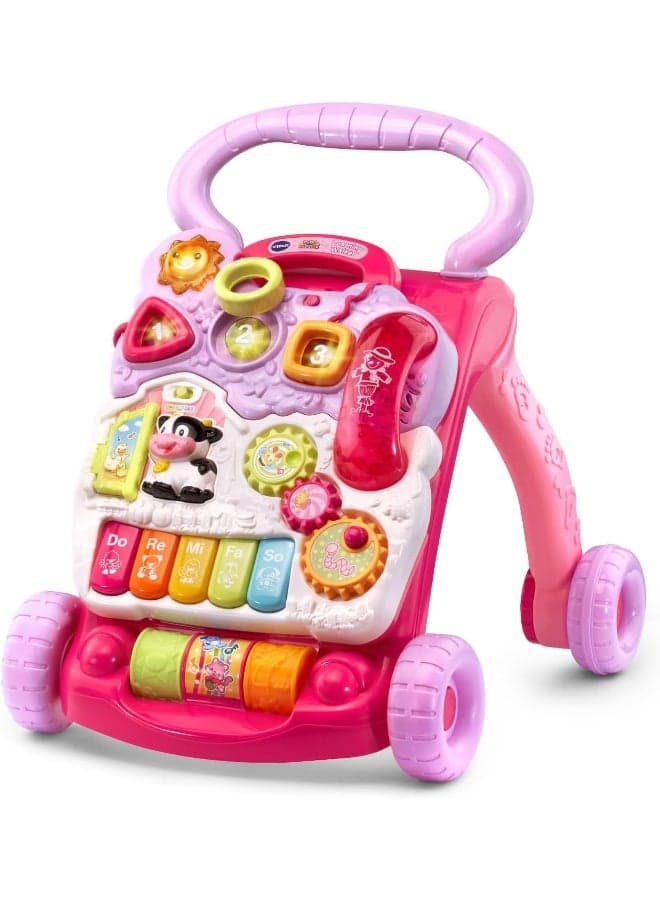 VTech Sit-to-Stand Learning Walker