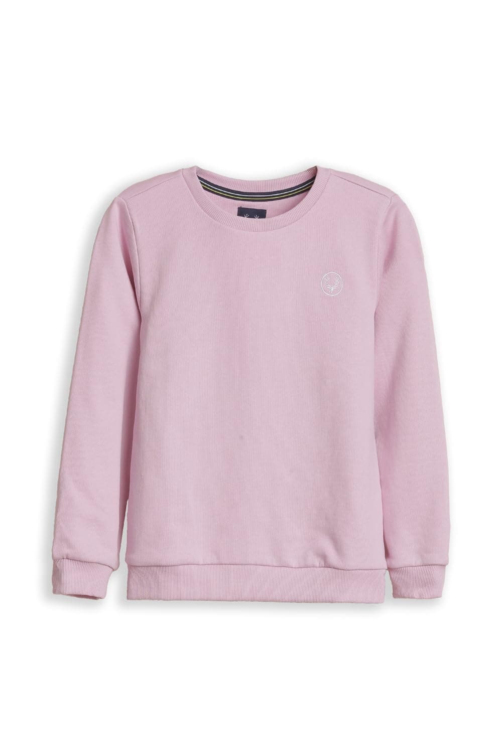 Allen Solly Kids Sweatshirts Lilac