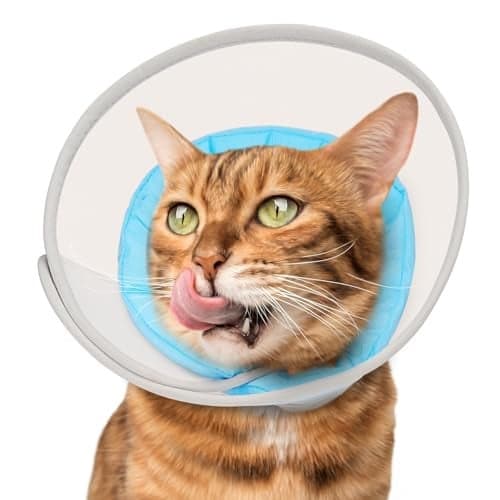 Cat Cone Collar Soft: Comfortable Waterproof Mesh Recovery Cone After Surgery to Stop Licking and Scratch, Alternative to Plastic Elizabeth Head/Neck Cone for Large Cats and Small Dogs