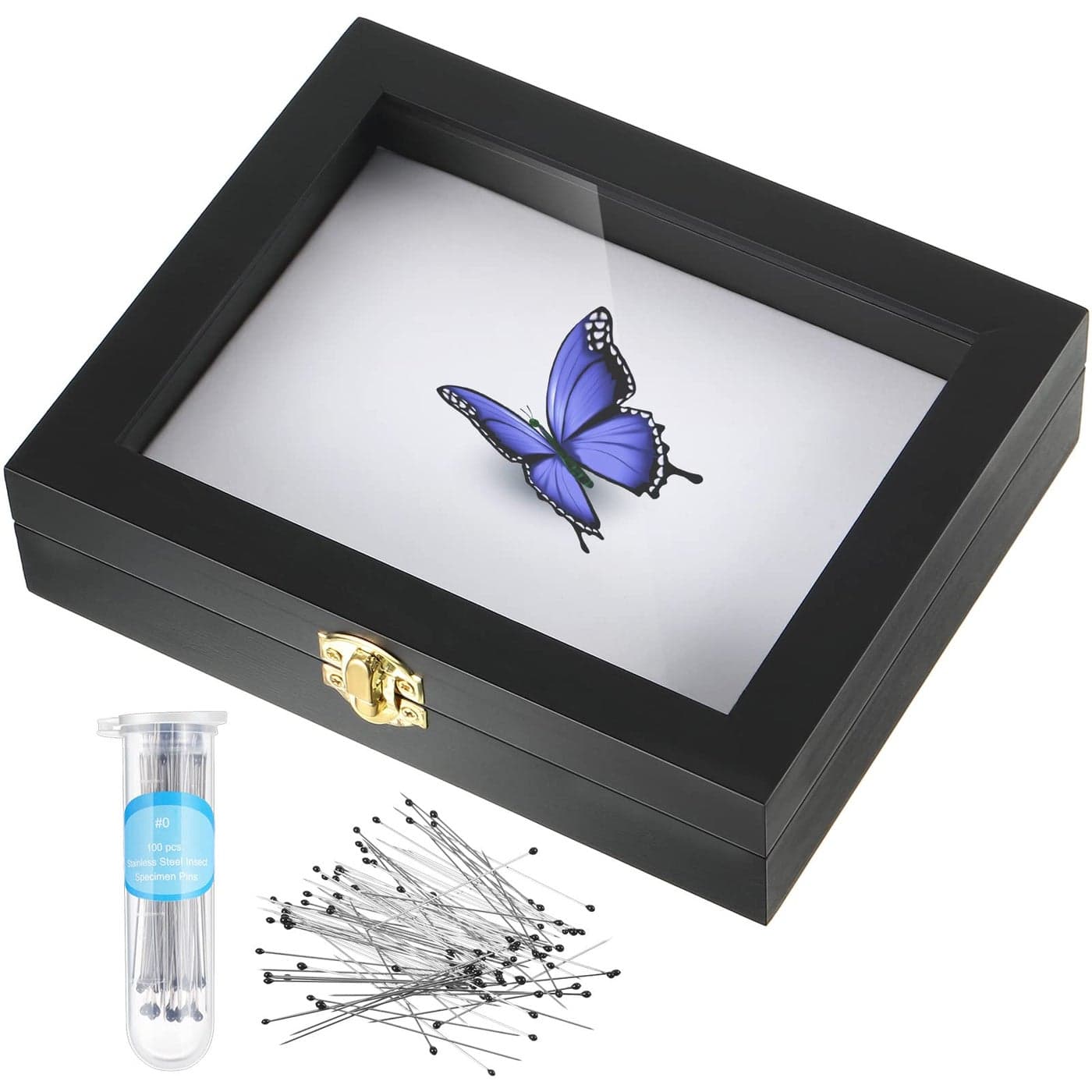 Insect Display Case Box Collection Box with Clear Top EVA Foam Pinning Board and 100 Pieces Pins Insect Shadow Box Kit Entomology Supplies for Collecting Butterfly Specimen Black