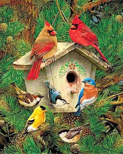 Springboks 1000 Piece Jigsaw Puzzle Feathered Retreat Made in USA