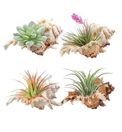 YZHZOM 4 Pack 45 inches Conch Shells for Decorating air Plant Holders Unique Succulent Pot Betta Fish Tank Decoration Aquarium dcor Fish House for Aquarium Beach Theme Party No Plants