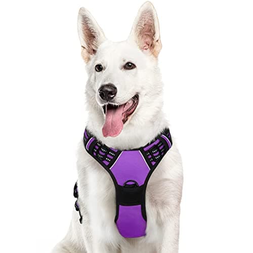 Eagloo No Pull Dog Harness with Front Clip, Walking Pet Harness with 2 Metal Ring and Handle Reflective Oxford Padded Soft Vest for Small Medium Large Breed, Purple, XL