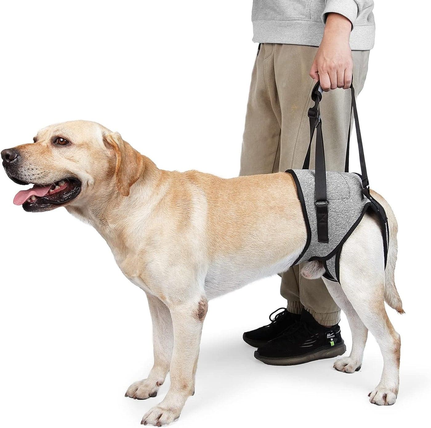 PETANGEL Dog Sling for Large Dogs Hind Leg Support to Help Rehabilitate The Hind Limbs of Elderly Dogs with Weak Hind Legs Disabilities & Injuries Dog Harness Helps Arthritis ACL Recovery (Size: XL)