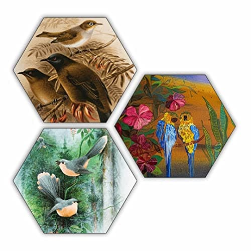 CVANU Wall Hanging Design Cute Birds and Parrots, Beautiful Art, MDF Cut Out Hexagon Shape for Home Decoration 3 pcs (12inch x 10inch)