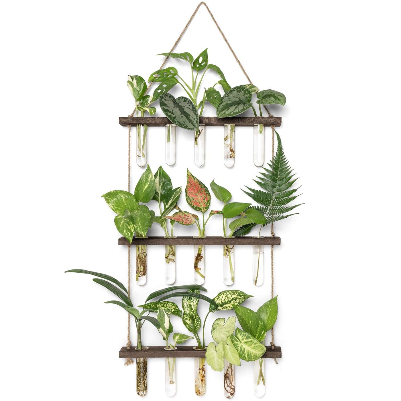 Mkono Plant Propagation Tubes 3 Tiered Wall Hanging Terrarium with Wooden Stand Mini Test Tube Flower Vase Glass Planter Stations for Hydroponic Cutting Home Garden Office Decor Plant Lover Gift