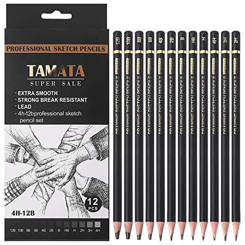 RVOGJP TAMATA Professional Drawing Sketching Pencil Set 12 Pieces Art Graphite Pencils12B 4H Ideal for Drawing Art Sketching Shading for Beginners Pro Artists