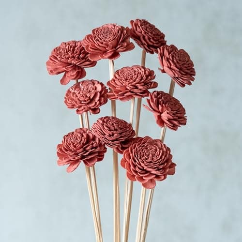 Flowers and Fillers || Rustic Pink Sola Belly Flower 6 cm On Stem | Natural Dried Flower | Eco-Friendly Flowers for Home, Office, Bedroom, Table Decoration and Craft Items Corner (Without Vase Pot)