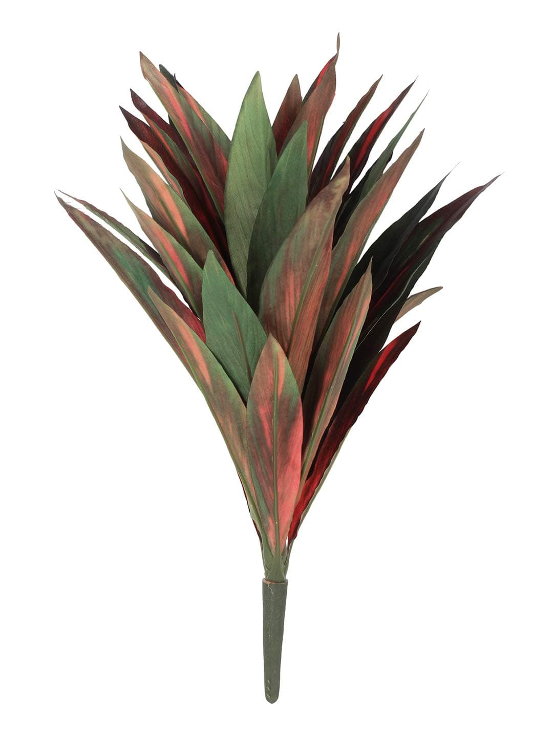 Fourwalls Dracaena Bush (35 Leaves, Red and Green, 46cm)