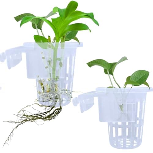 VAYINATO® 2 Pcs White Hanging (Cup Type) Water Plant Holder Pot for Aquarium Fish Tank, Aquaponic Plant Growing Landscape Plants Aquascape Decoration Water Plants By Petzlifeworld