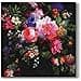 AM Dcor 20 Count Soft 3Ply Tissue Decoupage Luncheon Paper Napkins 13 x 13 Unfolded Roses on Velvet