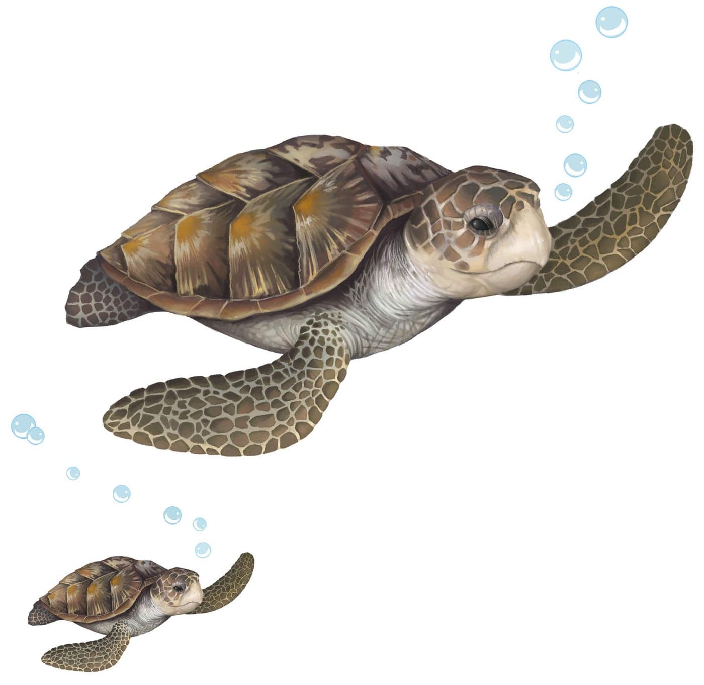 Sea Turtle Wall Decal Ocean Undersea Animal Tortoise Wall Sticker for Kids Room Decor Boys Girls Toddler Baby Nursery Bedroom Playroom Bathroom Vinyl Art Gift