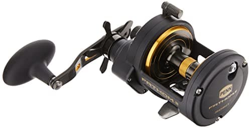 PENN Fathom II Star Drag Conventional Fishing Reel Black Gold