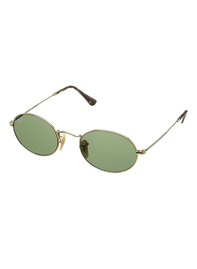 Unisex Oval Sunglasses
