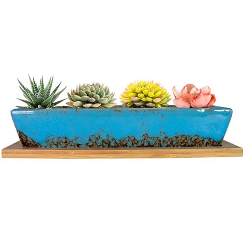 ARTKETTY Succulent Pots, 9.8 Inch Ceramic Succulent Planters with Drainage Small Bonsai Pot with Bamboo Tray, Mini Cactus Flower Planter Pot Shallow Rectangular Window Planters for Indoor Plants