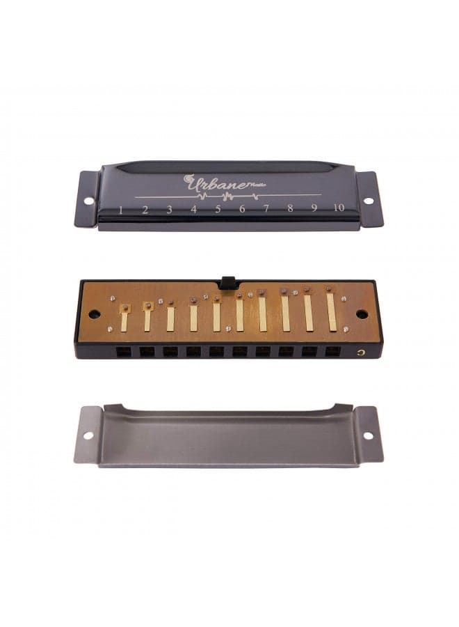 Harmonica 10 Holes 20 Tunes Mouth Organ Blues Deluxe Harmonica, Key of C for Beginner, Adults, Kids Gift, Black