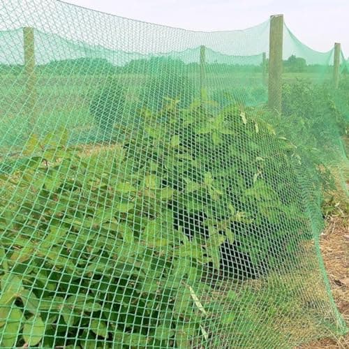 RK Trends Bird Netting | Heavy-Duty Anti-Bird Protection for Garden, Fruit Trees, and Vegetables | Durable (10 x 150)