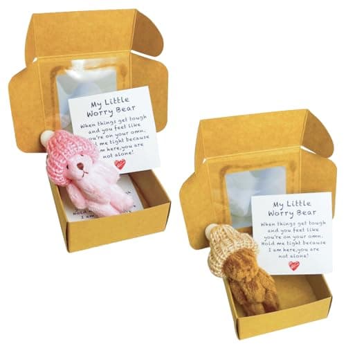 Roioiow 2Pack My Little Worry Bear Plush Teddy with Greeting Card and Box Emotional Support Relationship Gift for Friends Family Colleagues